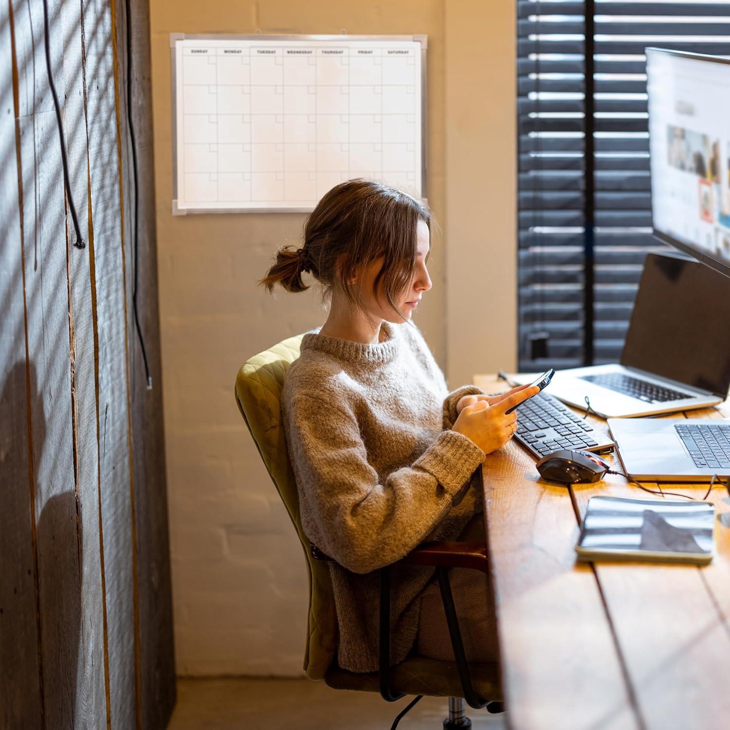 Flipside Products Wall Mounted Magnetic Wall Calendar, 18" x 24"