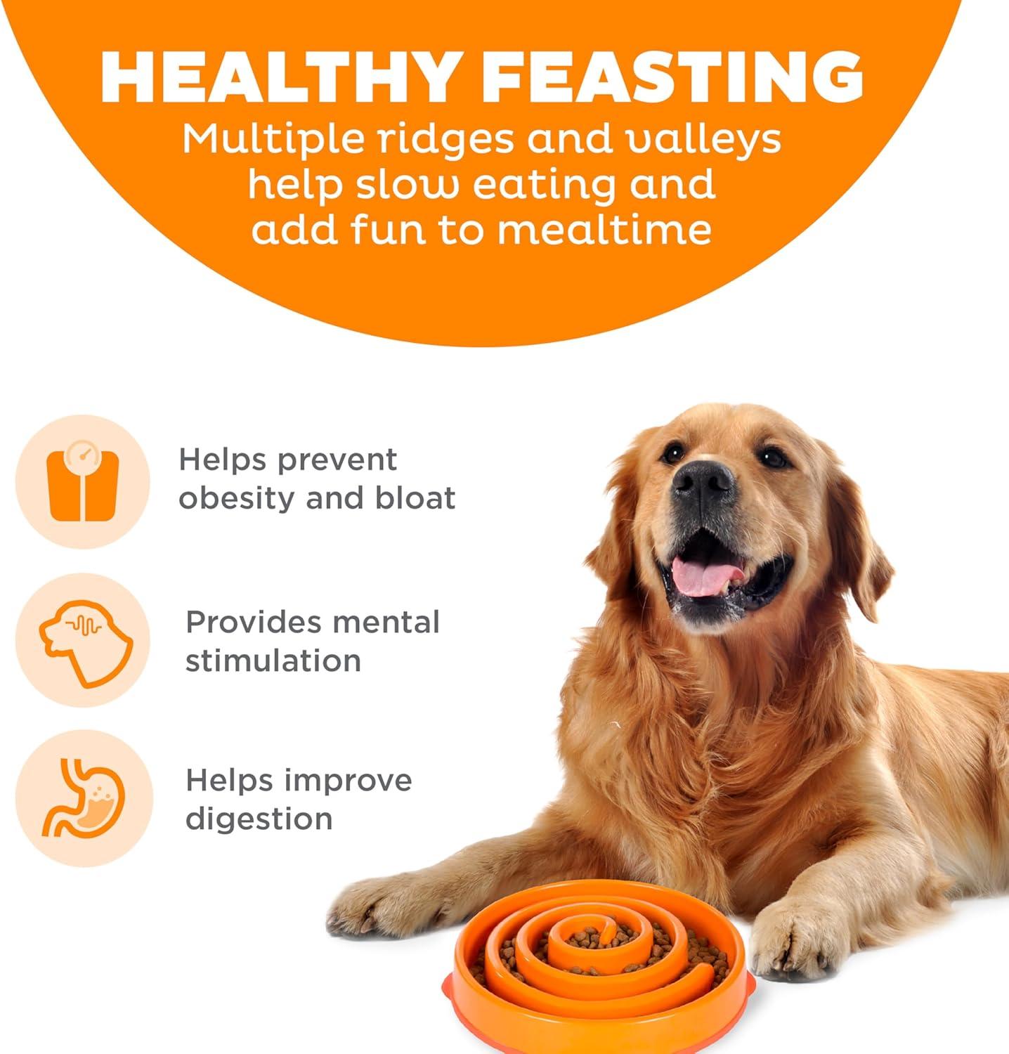 Outward Hound Outward Hound Fun Feeder Bowl, Slow Feeder Dog Bowl, Large, Orange