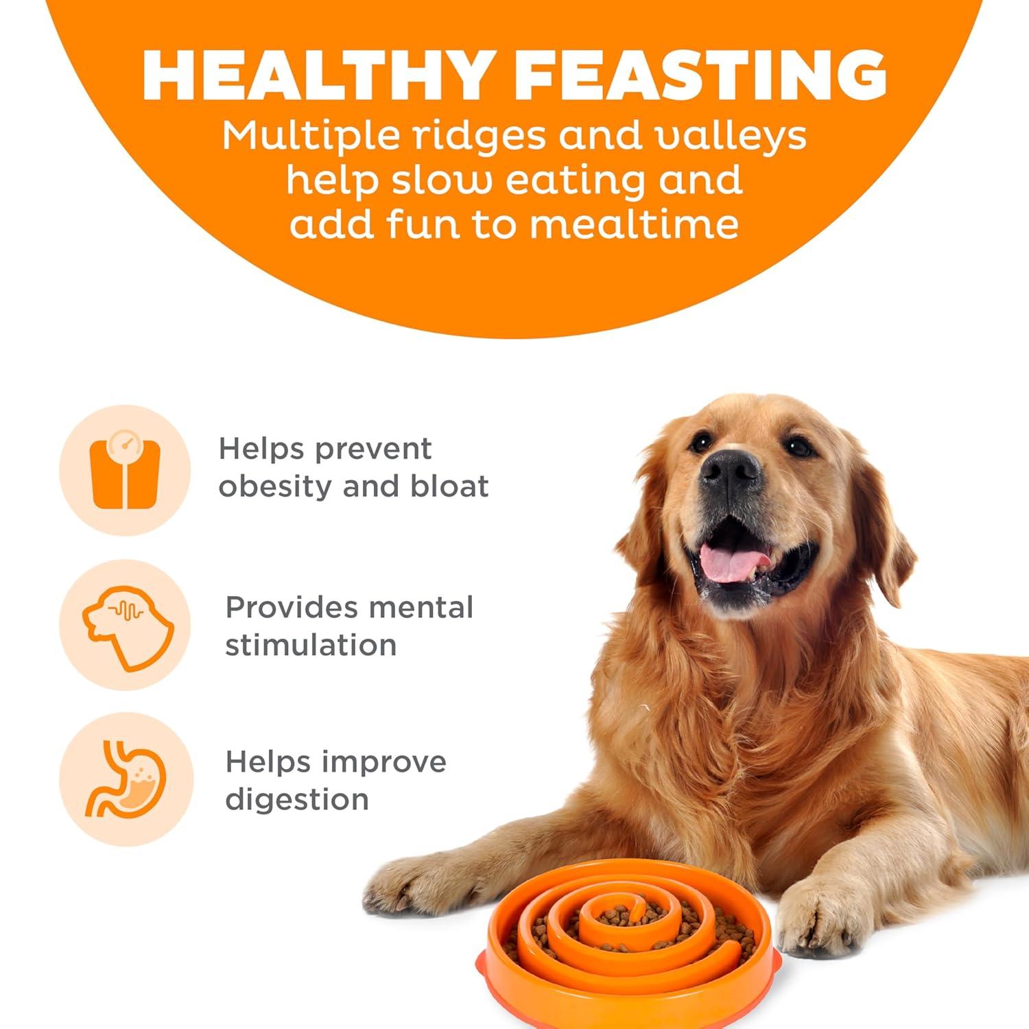 Outward Hound Outward Hound Fun Feeder Bowl, Slow Feeder Dog Bowl, Large, Orange