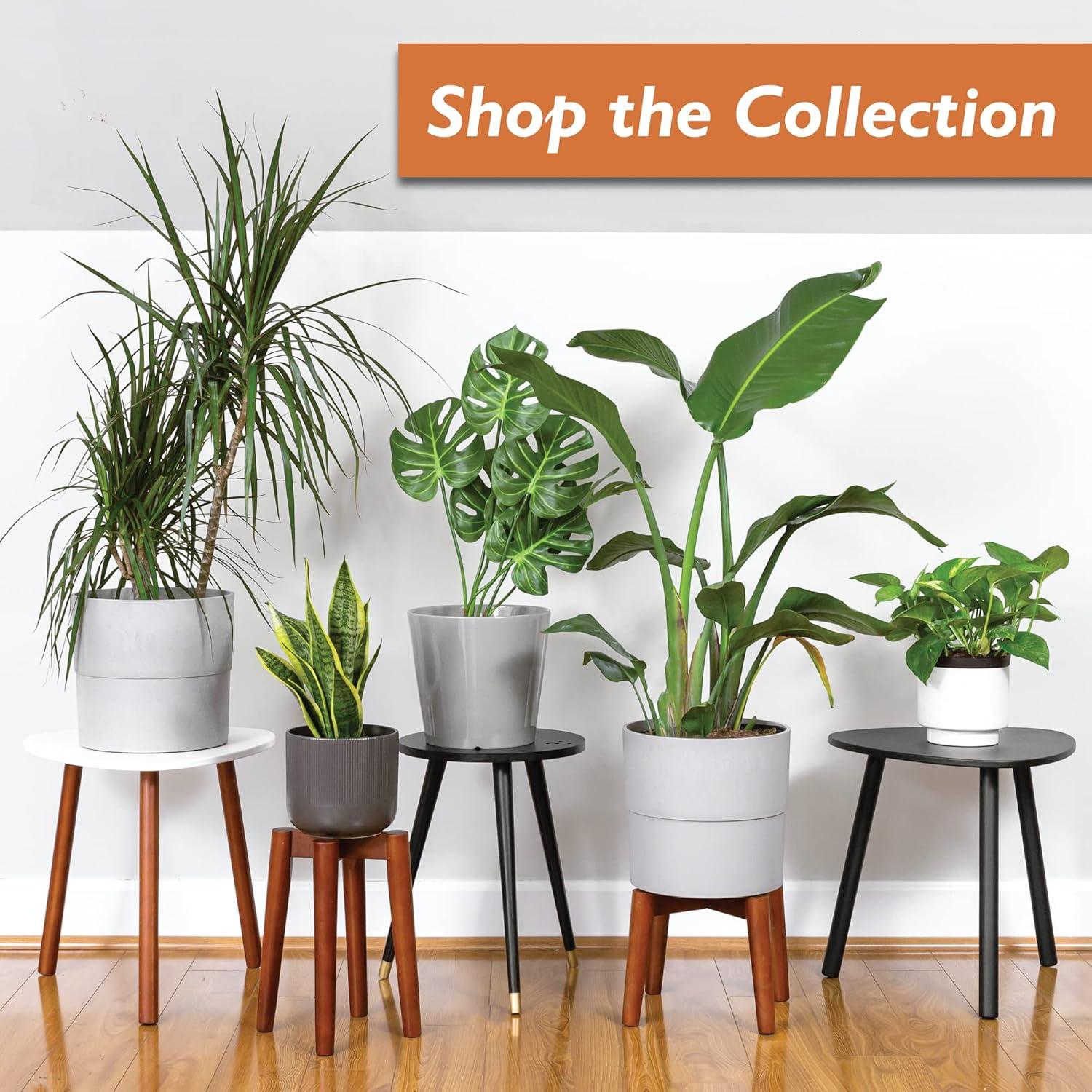 Ilyapa Indoor Plant Stand - Mid Century Modern Floor Planter Stand, 8 Inch Tall, 12 Inch Wide Walnut Stain Pot Riser - Add A Touch Of Mid Century Style To Any Room, Plants Display Rack