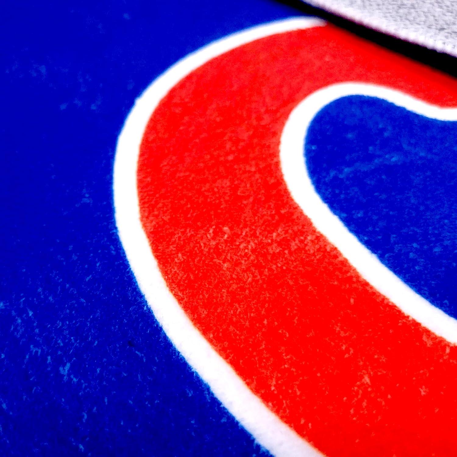 FANMATS NHL and FANMATS Non-Slip Indoor Only Door Mat