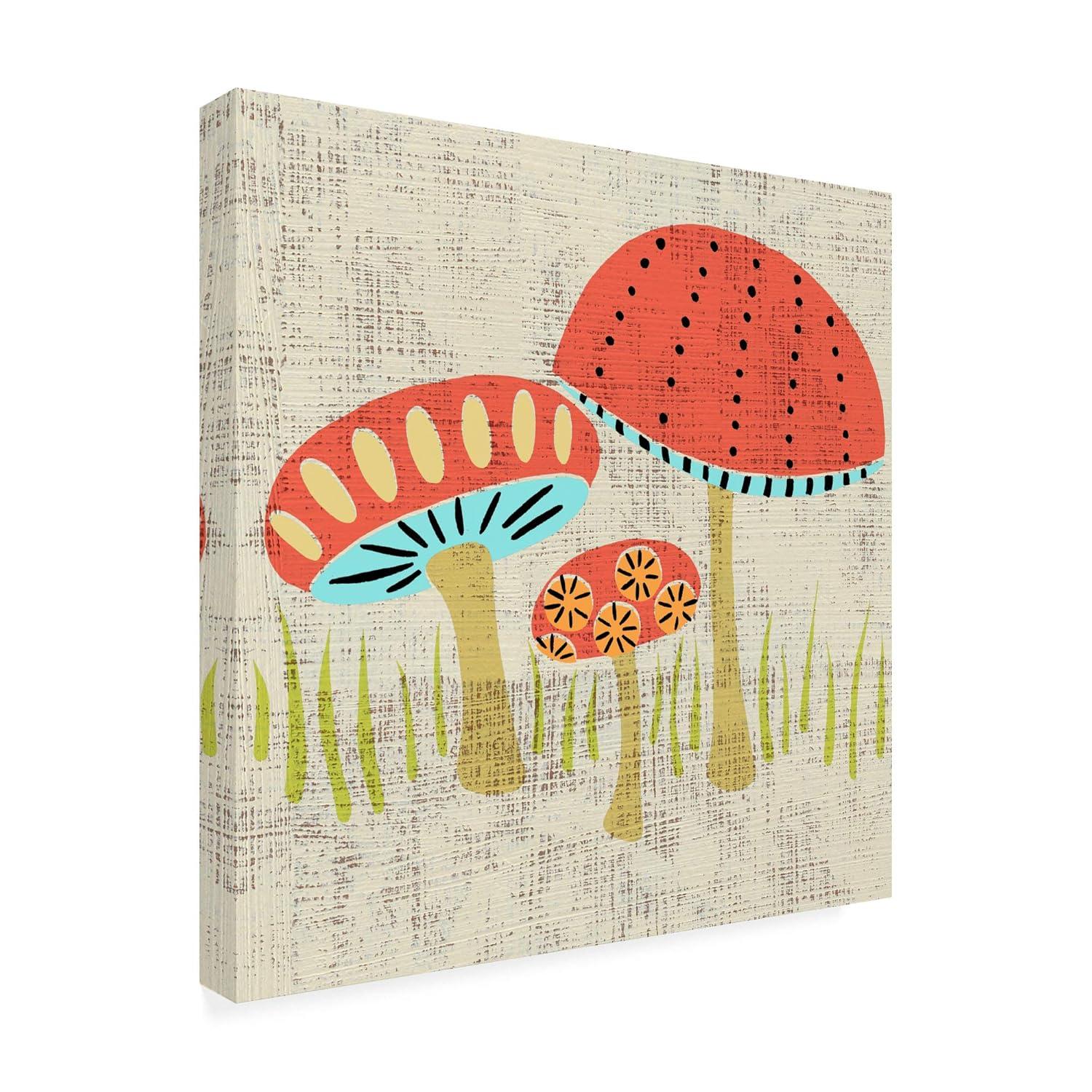 Trademark Fine Art 'Adas Mushrooms' Canvas Art by Chariklia Zarris
