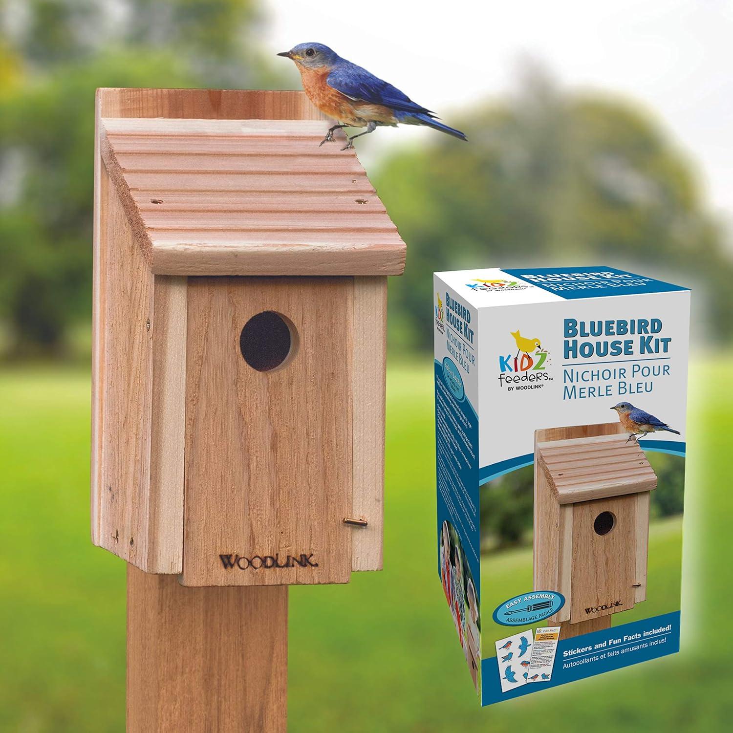 Panacea Woodlink Classic Bluebird House DIY Craft Kit