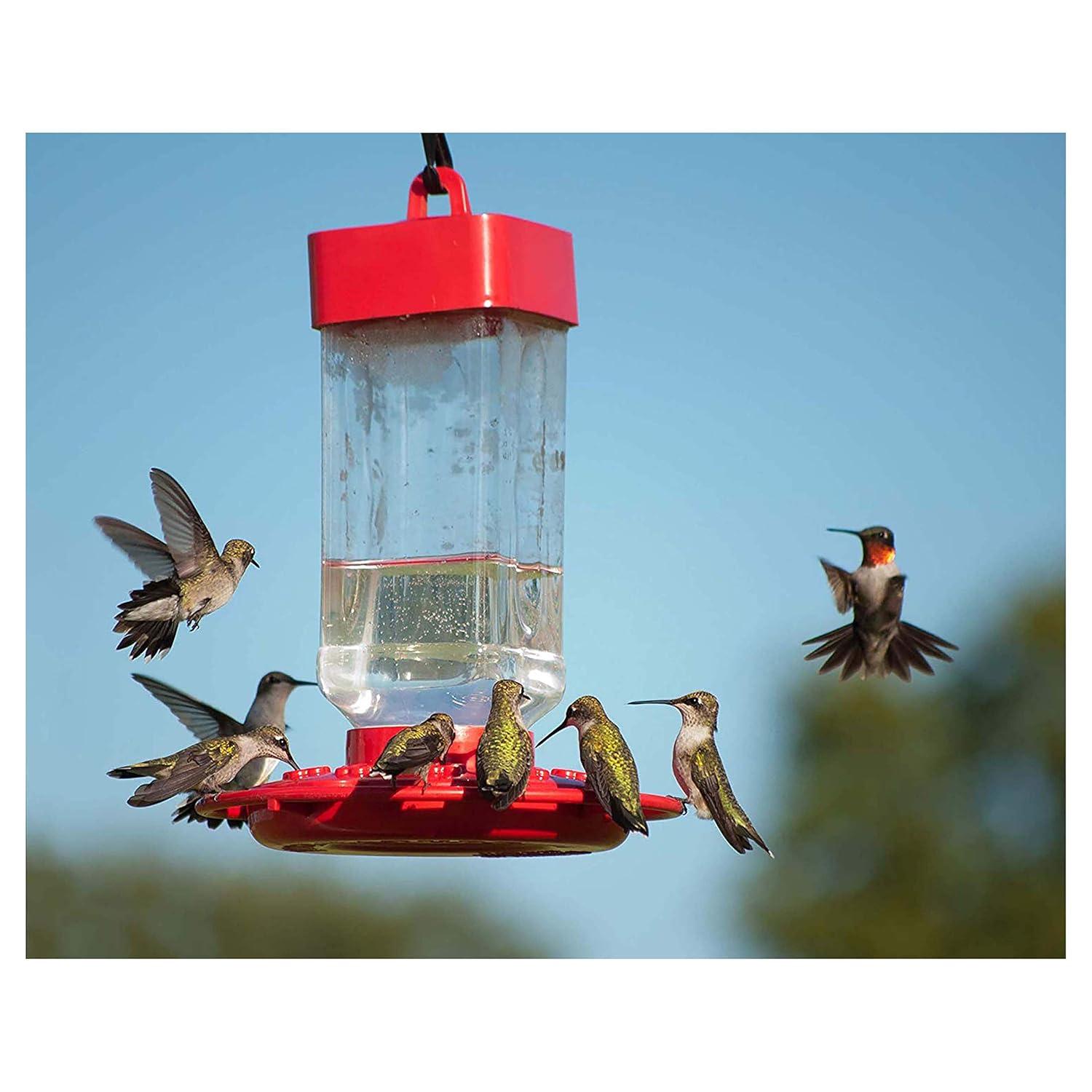 Kaytee Hummingbird ElectroNectar Wild Bird Food, Ready to Use - 64 Ounces