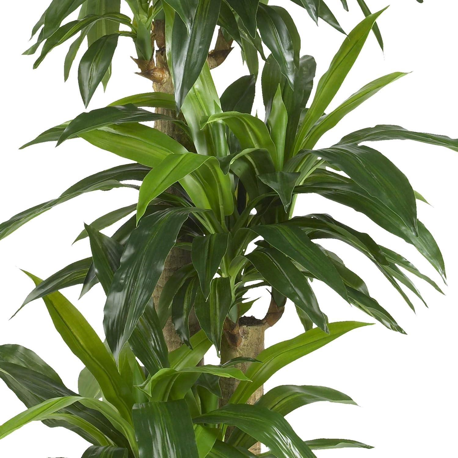 Nearly Natural Corn Stalk Dracaena Silk Plant (Real Touch)