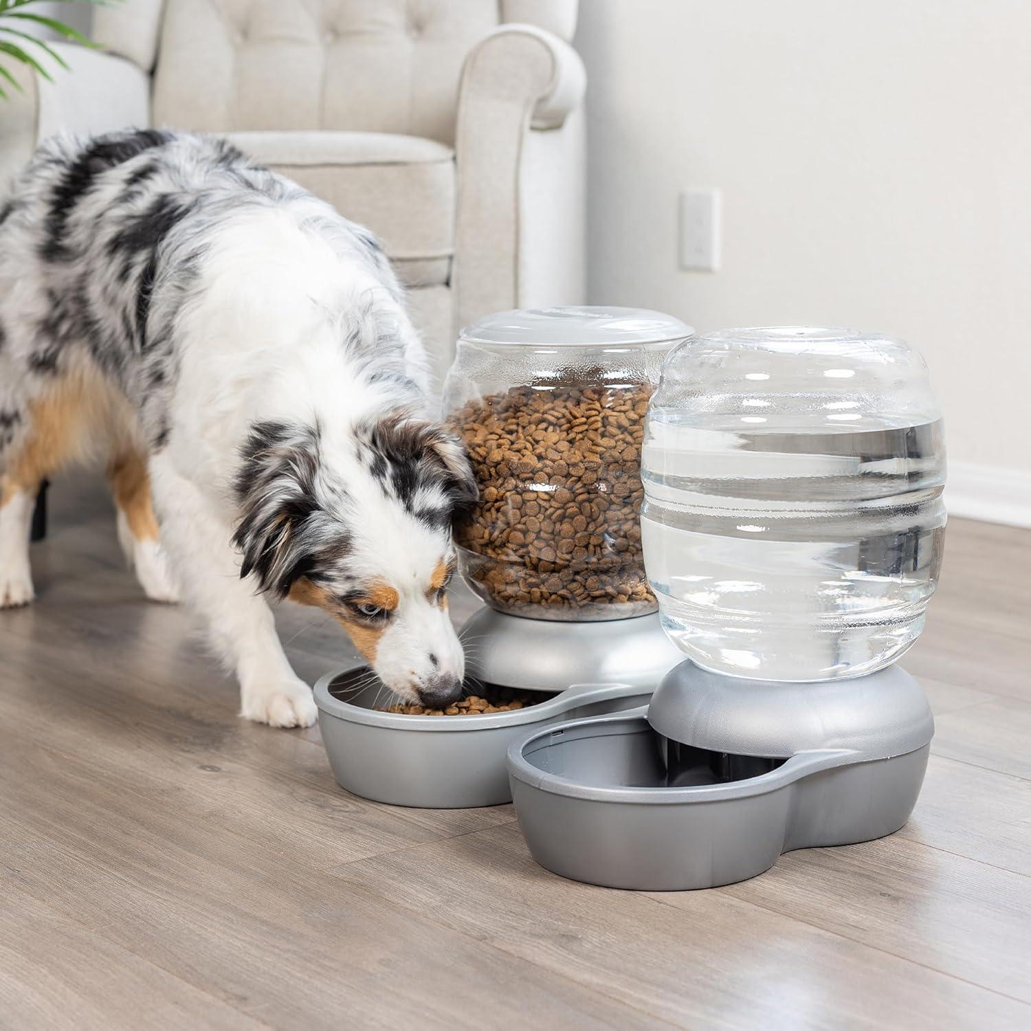 Petmate Automatic Feeder