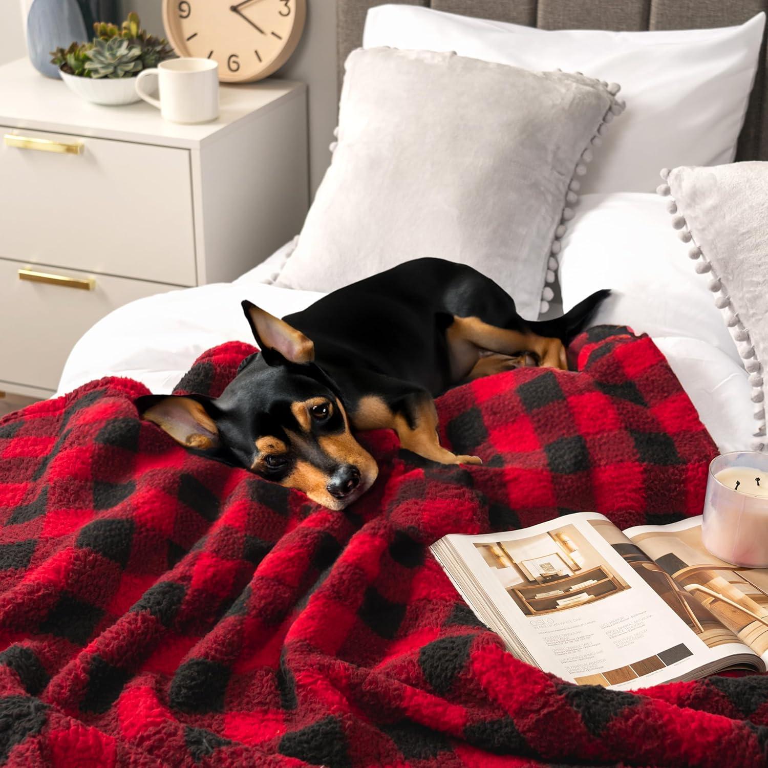 PAVILIA Plush Throw Blanket for Couch Bed, Faux Shearling Blanket and Throw for Sofa Home Decor, Checkered Red/Black/Throw - 50x60