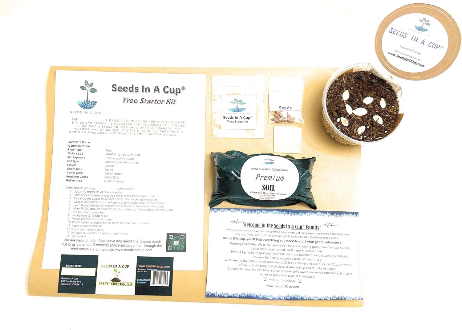 Seeds in a Cup Tree Starter Kit with Premium Soil