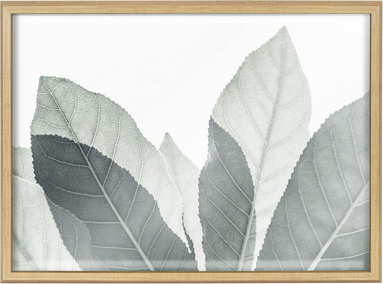 18" x 24" Blake Modern Leaf Botanical III Framed Printed Glass Natural/Green - Kate & Laurel All Things Decor