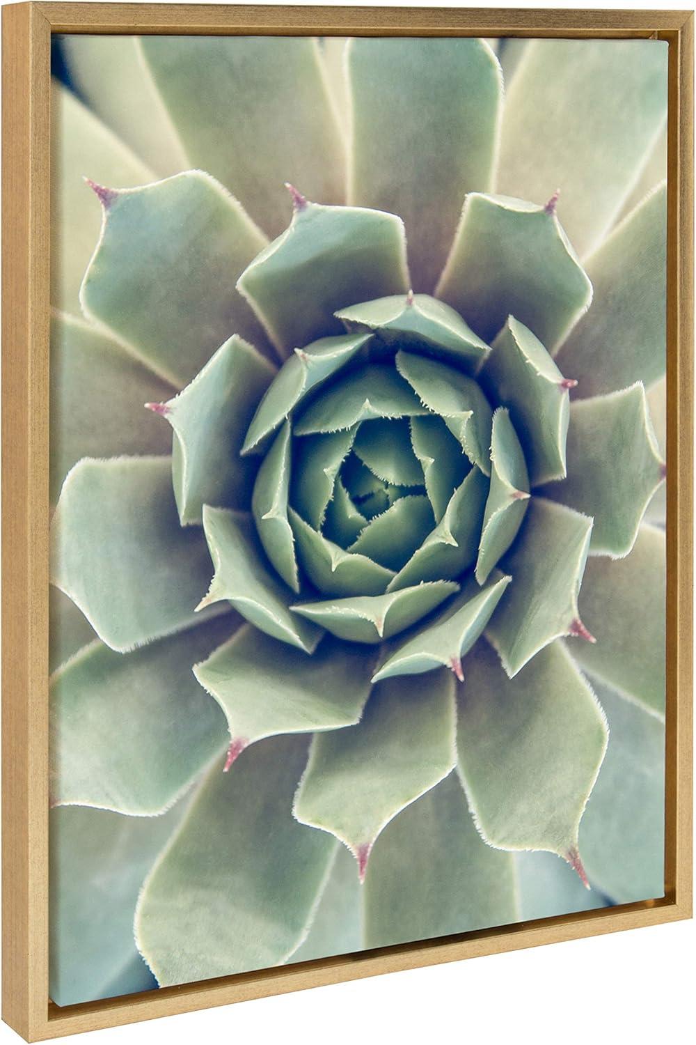 Kate and Laurel Sylvie Succulent 1 Color Photograph Framed Canvas Wall Art by F2 Images, 18x24 Gold