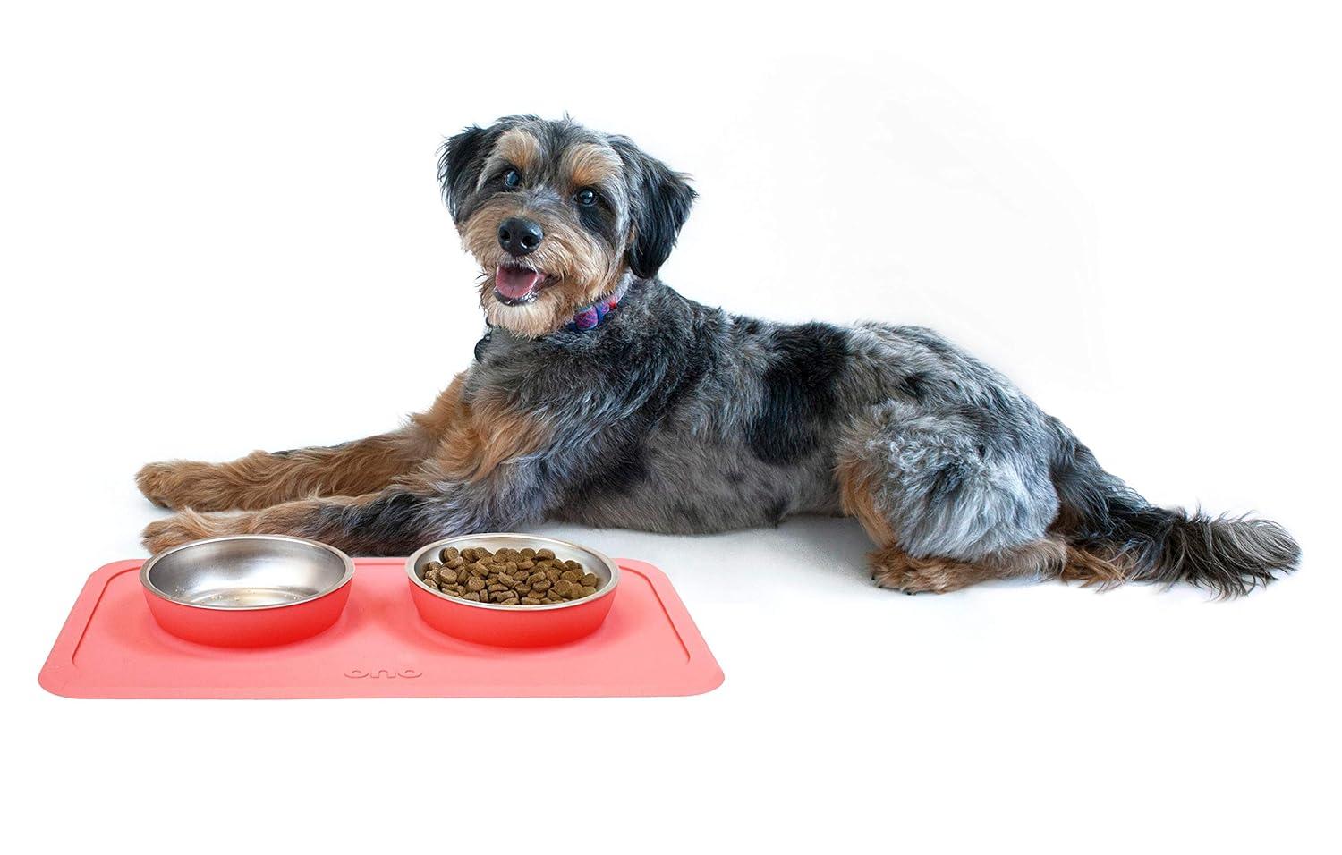 Ono Good Bowl Food & Water Double Feeder - Small to Medium Pets No Spill Non Skid Silicone Mat & Stainless Steel Bowl for Dogs or Cats (Charcoal)