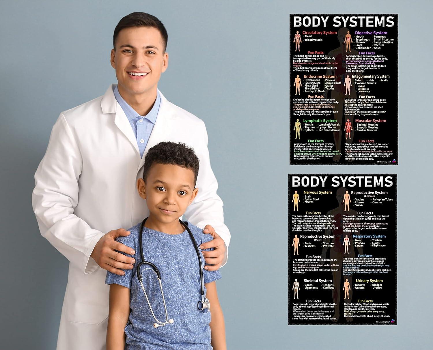 Human Anatomy & Body Systems Laminated Posters - 14x19.5, Science Educational Charts & Classroom Decorations, Back to School Supplies, Learning Posters for Biology Class, STEM & STEAM