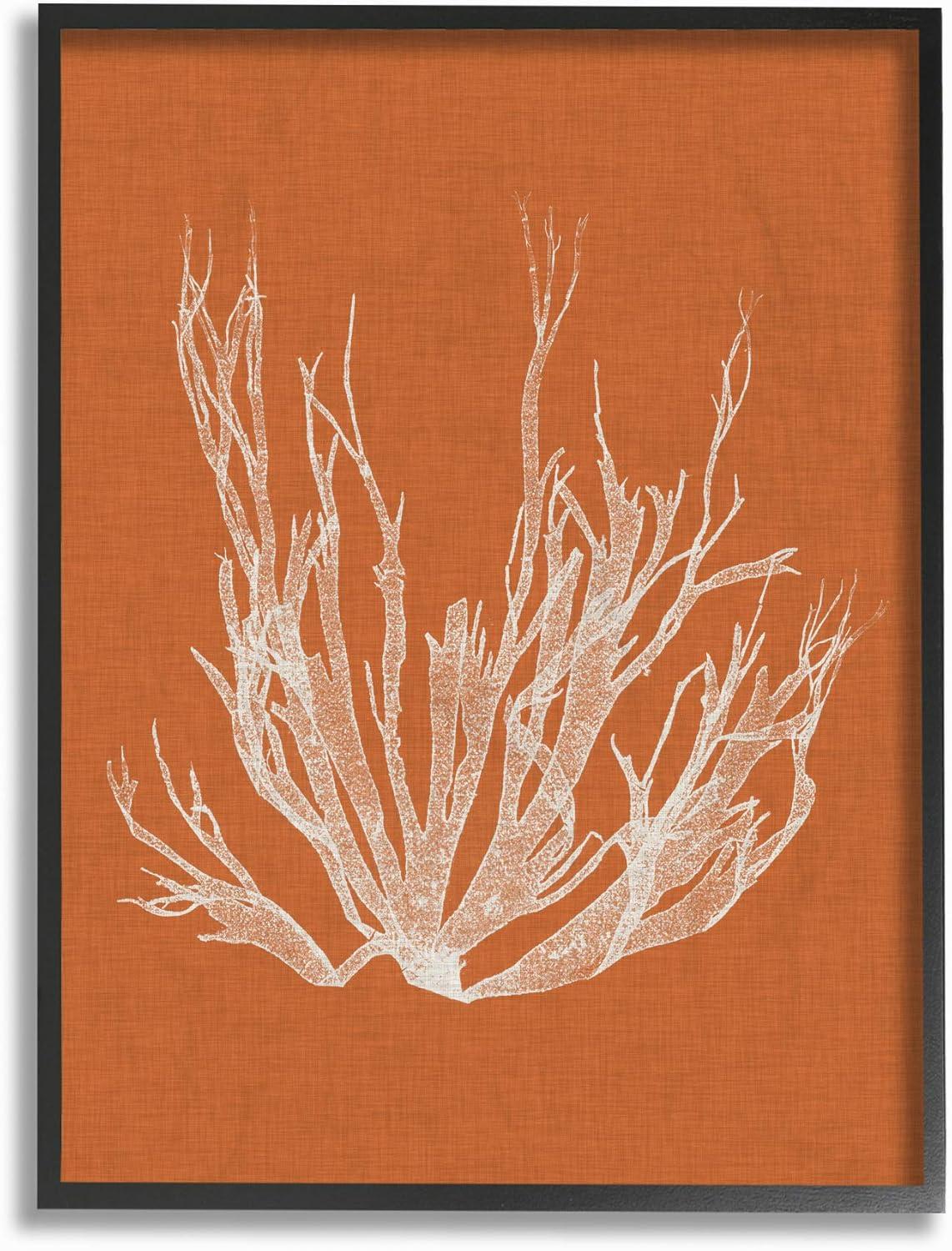 Stupell Industries Coral Seaweed Orange White Beach Design Framed Wall Art by Vision Studio, 16" x 20", Black Framed