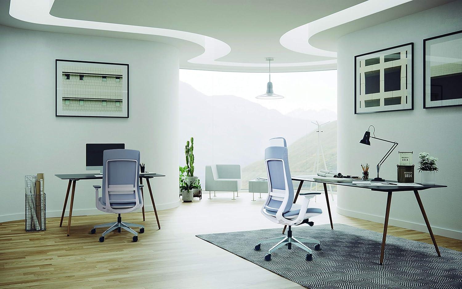 Eurotech Elevate Ergonomic Adjustable Office Chair, White Frame Gray Mesh