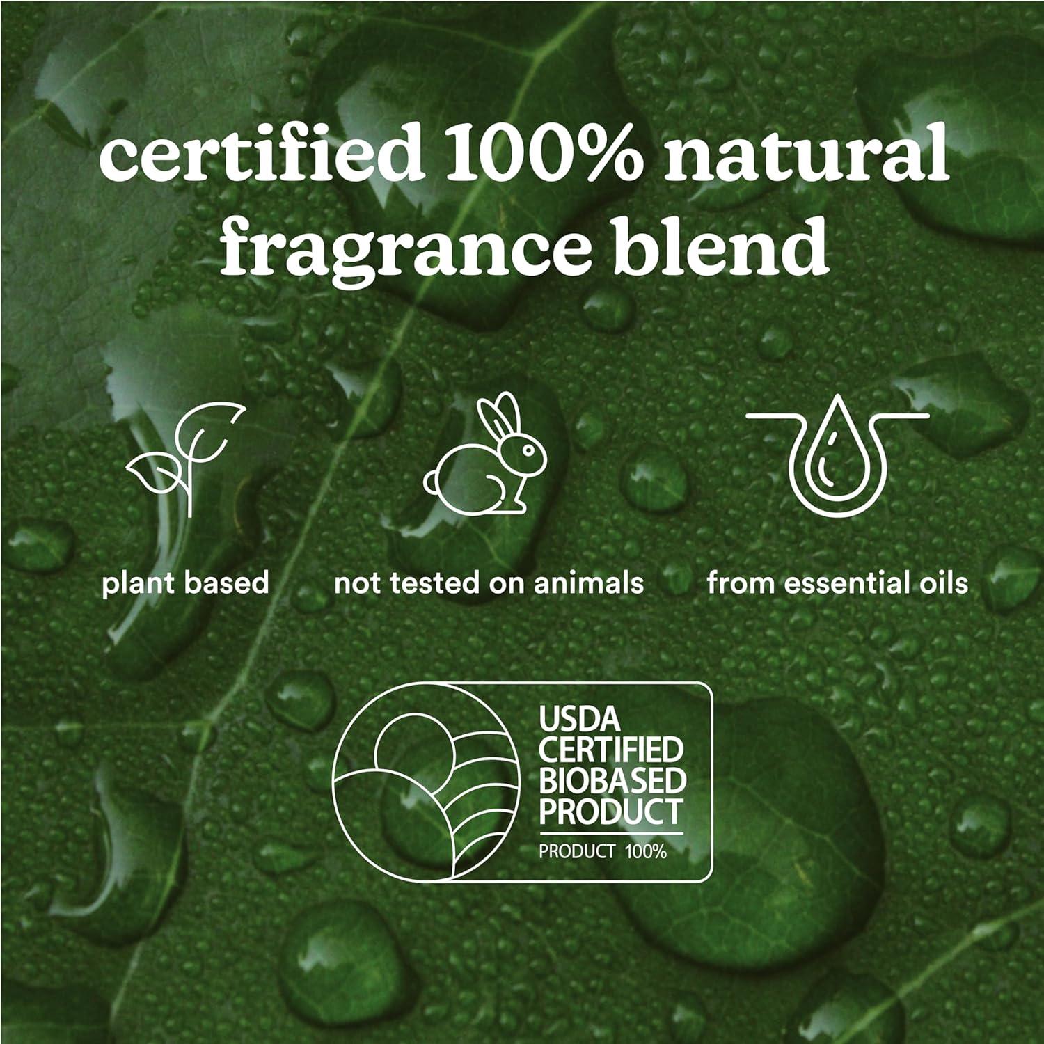 Homedics SereneScent Maldives Escape Essential Oil Blend, for Diffusers and Humidifiers