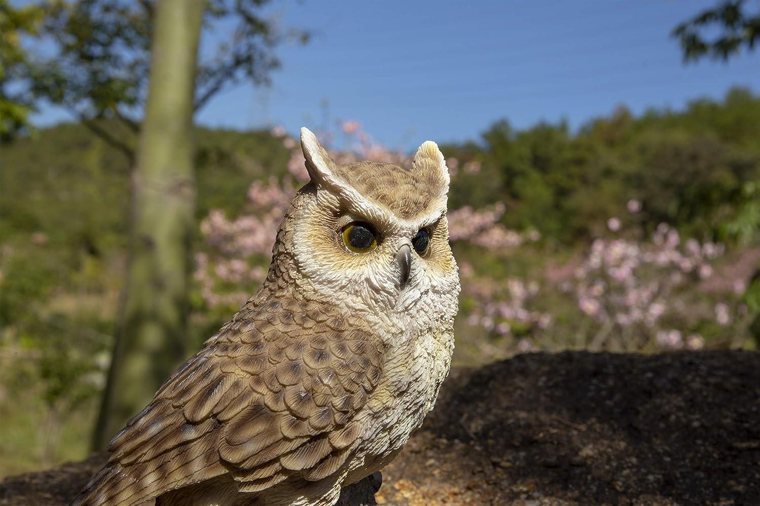 Motion Activated Singing Long-Eared Owlet Standing on Stump