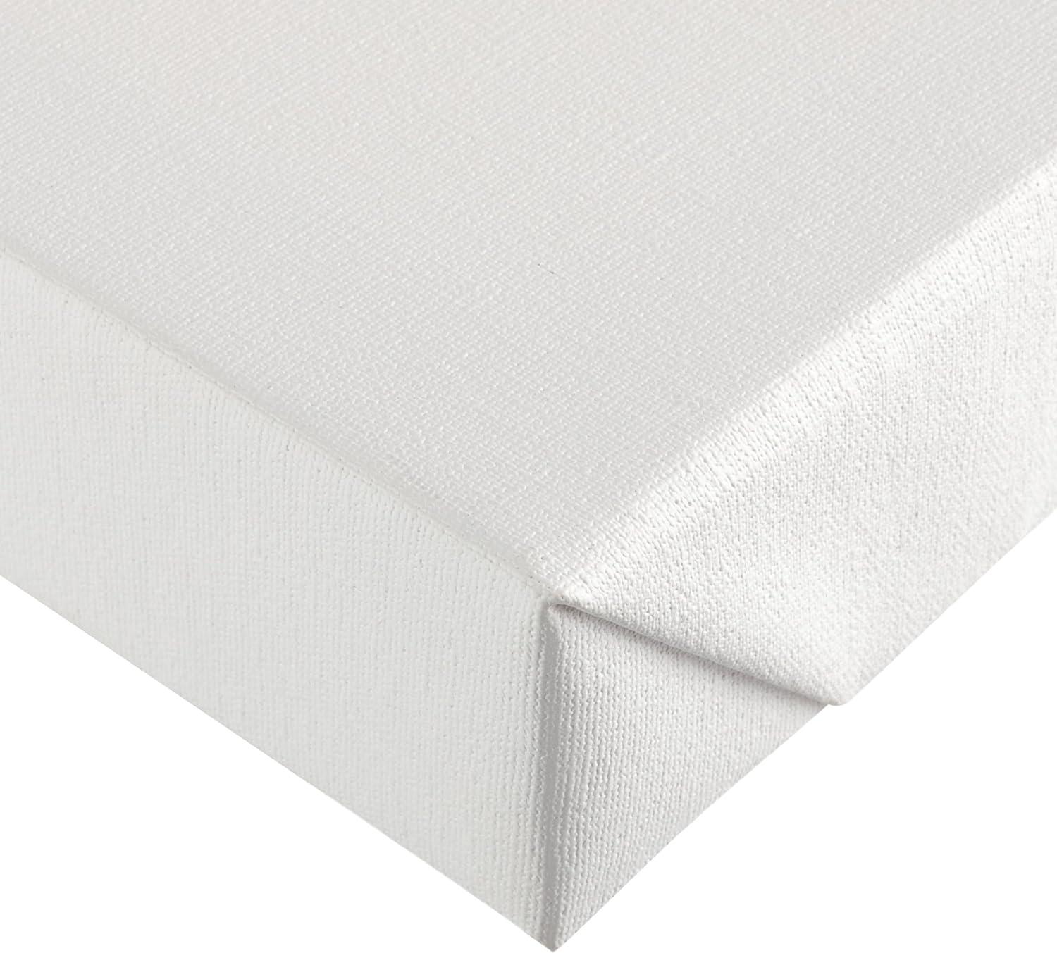 Trademark Fine Art -Tim Otoole 'Indigo Floral Ii' Canvas Art