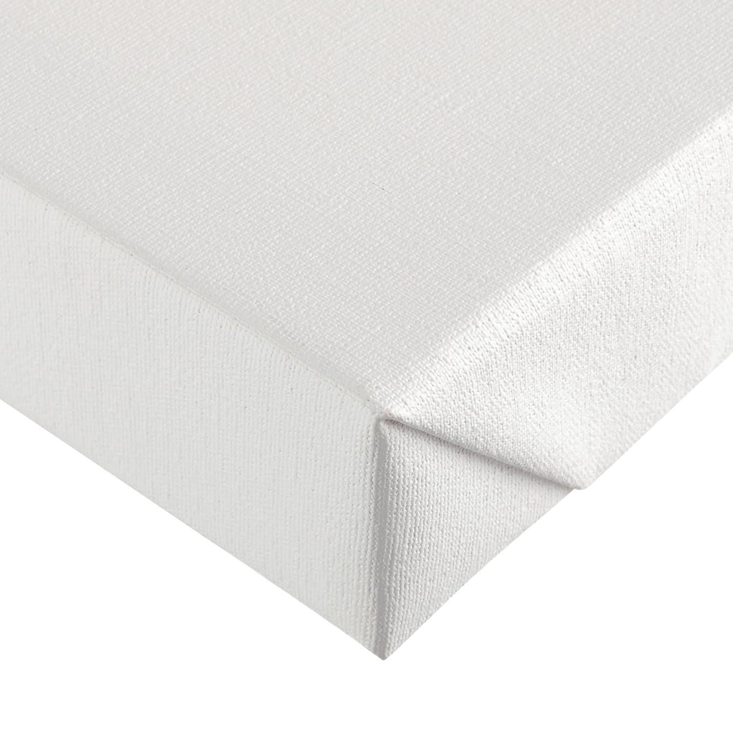 Trademark Fine Art -Tim Otoole 'Indigo Floral Ii' Canvas Art