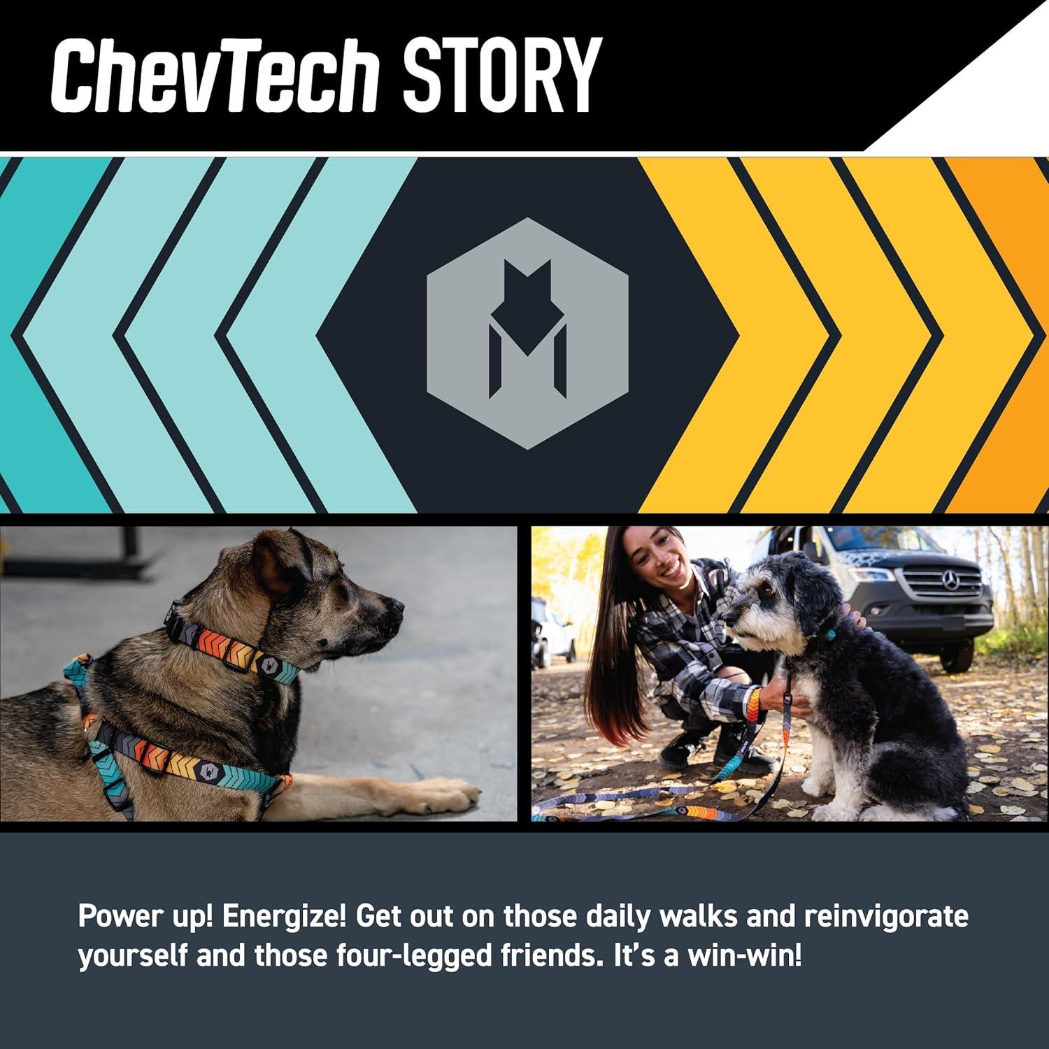 Wolfgang 8093076 18 in. Multi Color Chev Tech Polyester Dog Adjustable Collar, Medium