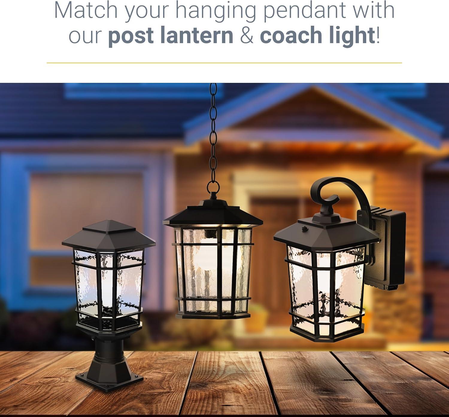 Williams 1- Light Black 14" H Glass Outdoor Hanging Lantern (Bulb Included)