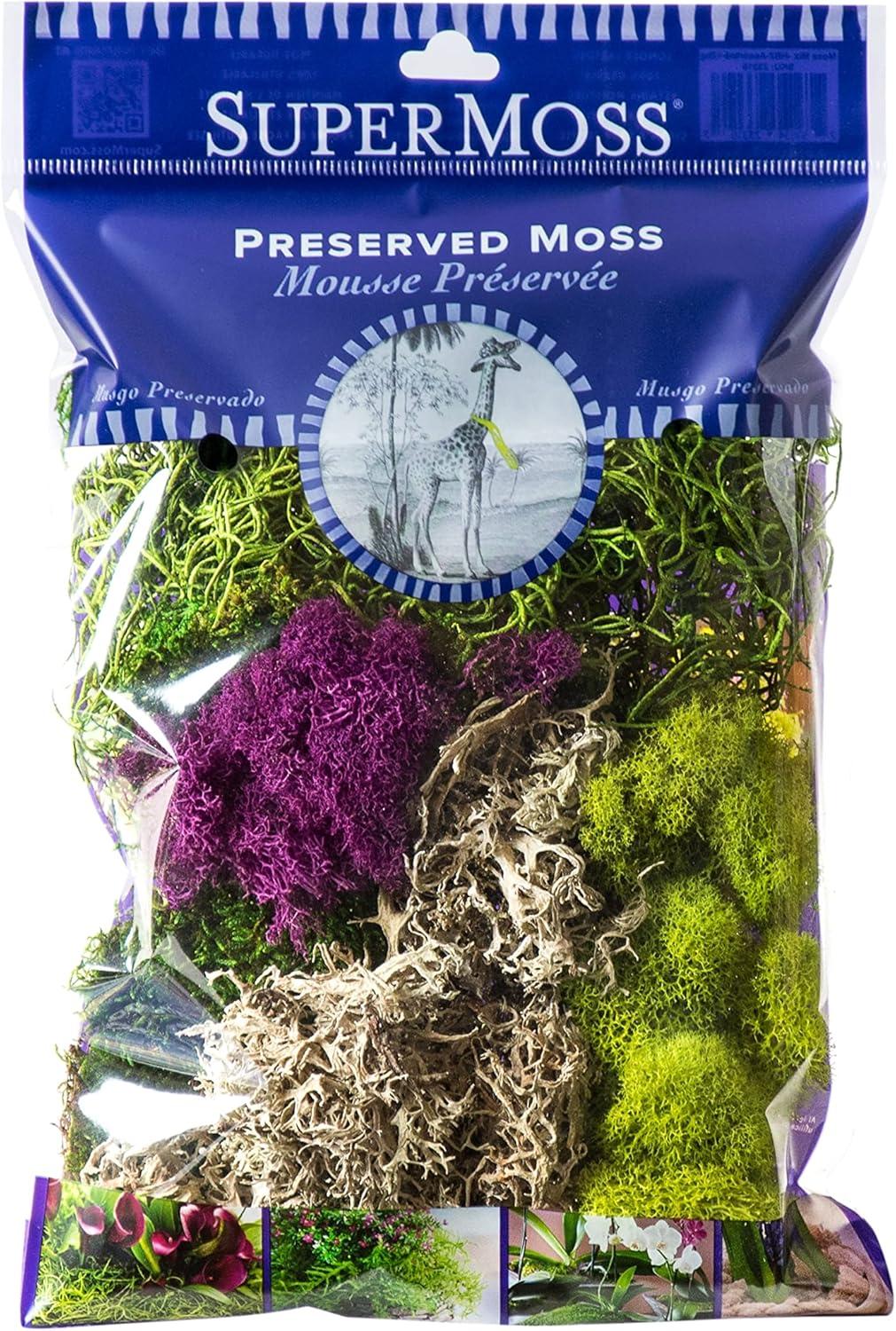 SuperMoss Preserved Mixed Color Moss Arrangement, 2 Ounces