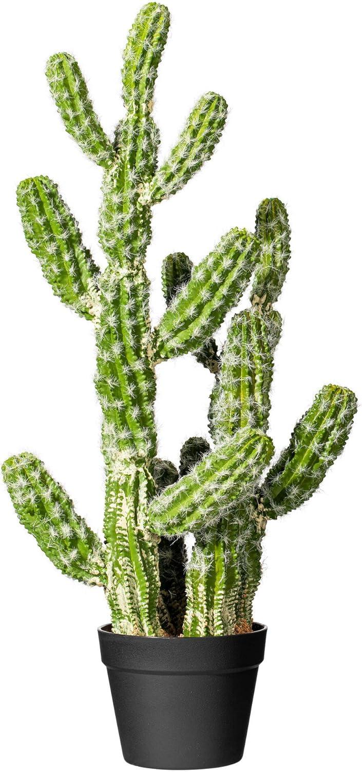 Vickerman 31" Artificial Green Potted Cactus.