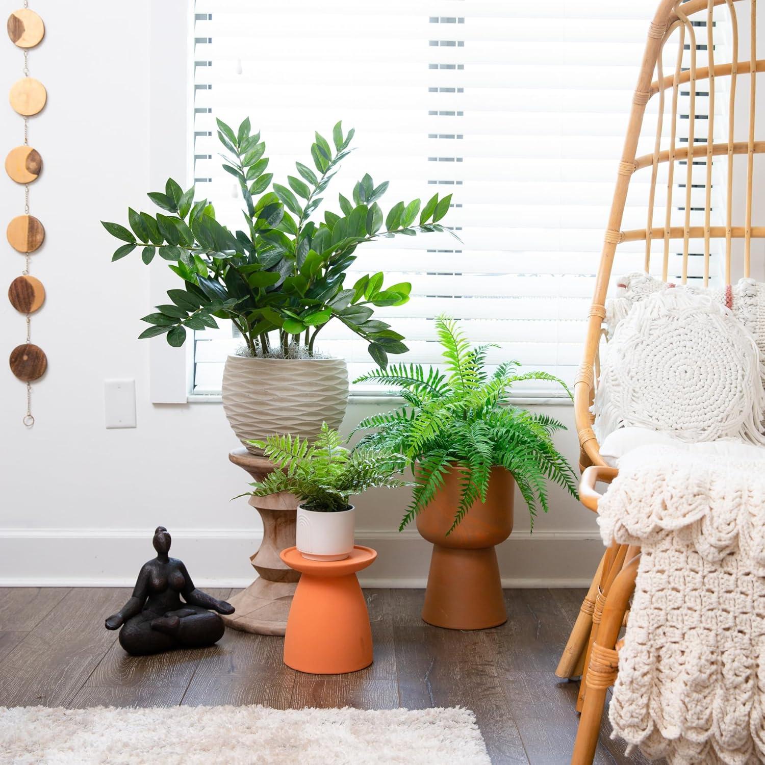 Yancey 12'' Faux Fern Plant in Terracotta Planter