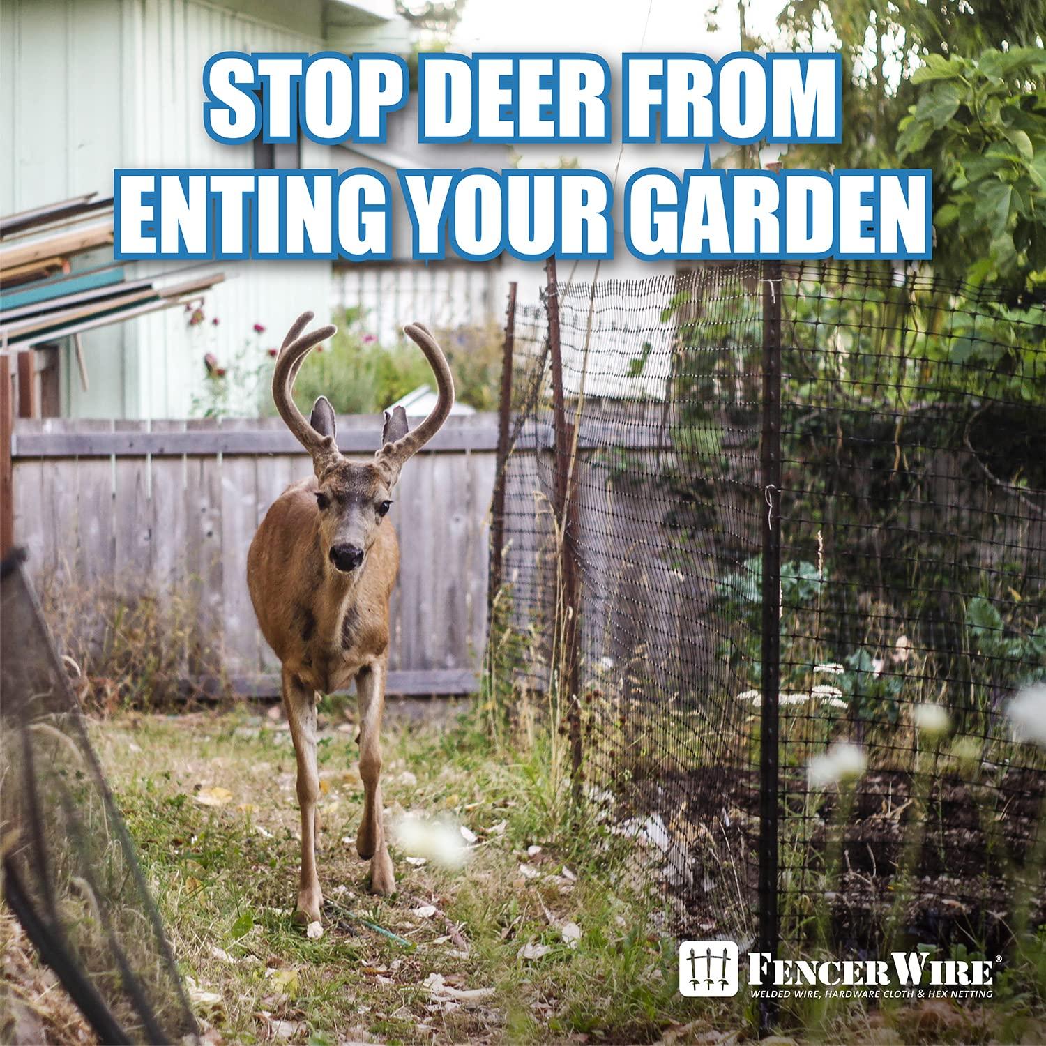 7 ft. x 100 ft. x 3/4 in. Black Plastic Deer/Bird/Rodent Block Garden Netting