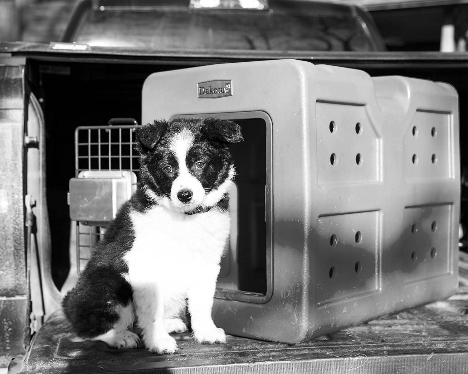 Dakota 283 G3 SMALL Plastic Pet Crate with 1 Door