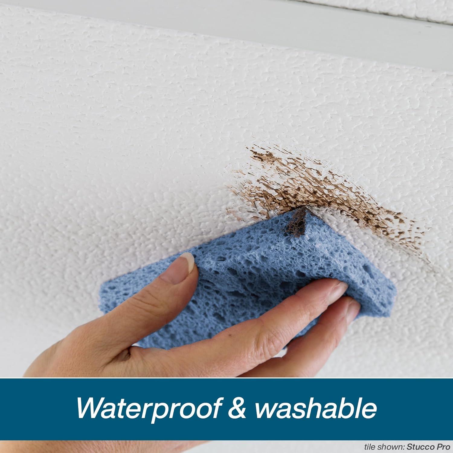 Genesis 2ft x 4ft Printed Pro Ceiling Tiles - Easy Drop-in Installation - Waterproof, Washable and Fire-Rated - High-Grade PVC to Prevent Breakage - Package of 10 Tiles
