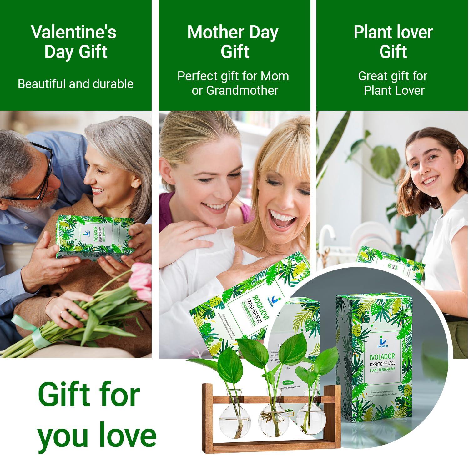 Plant Propagation Station,Plant Terrarium,Plant Starter,Gifts for Plant Lovers,Glass Bulb Terrarium with Retro Solid Wooden Stand for Hydroponics Plants Home Garden Wedding Décor (3 Bulbs)