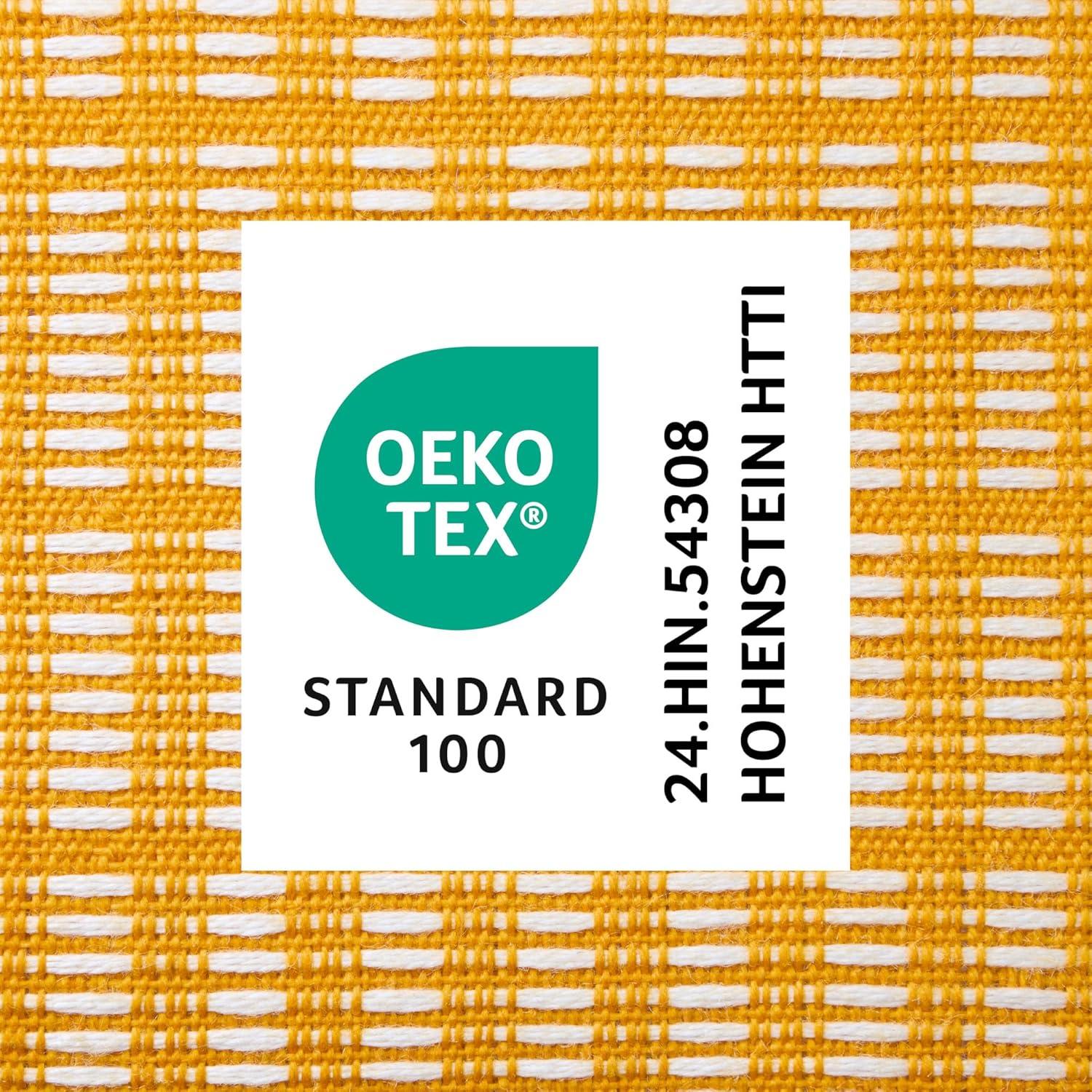 Town & Country Living TOWN & COUNTRY TERRA Alara Indoor Outdoor Decorative Pillow