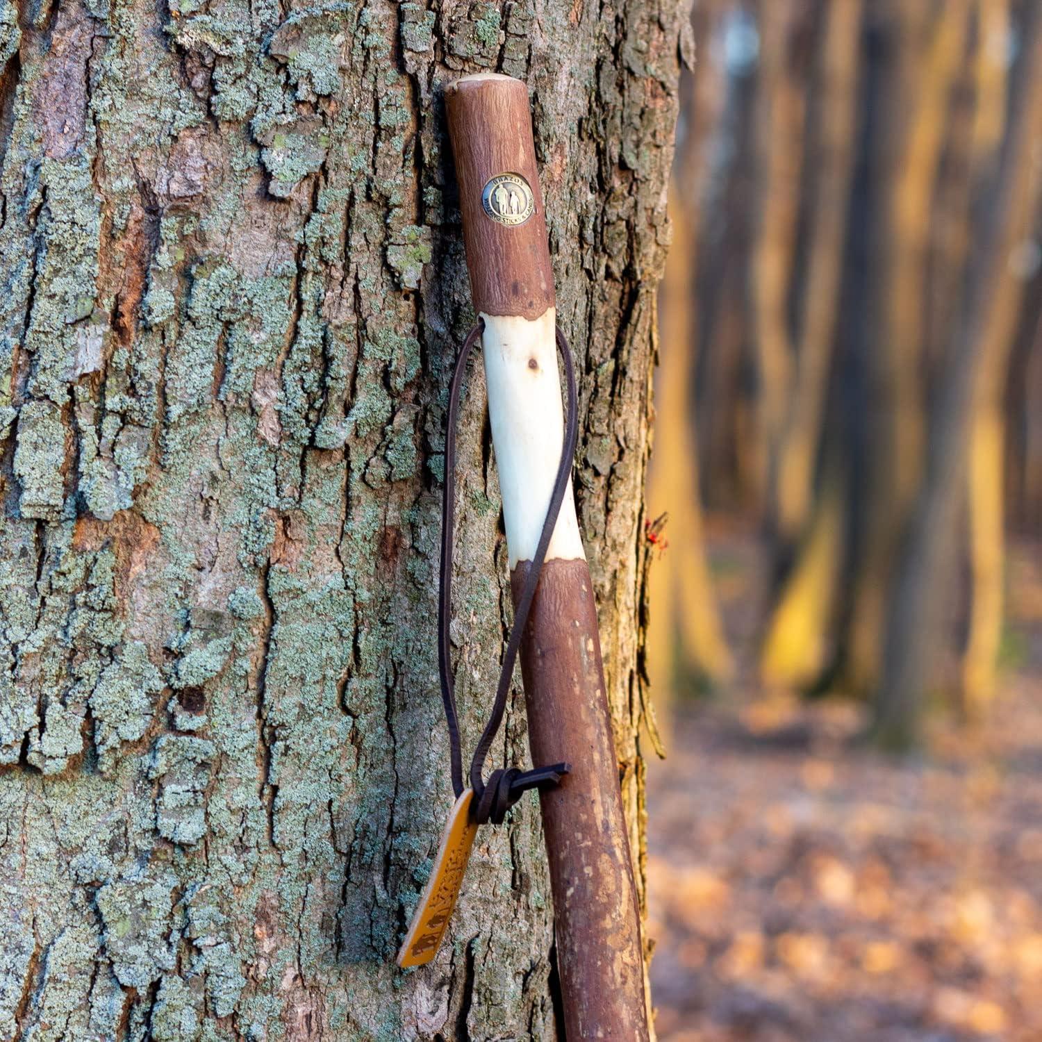 Brazos Twisted Sassafras Wood T-Handle Cane 37 Inch Height