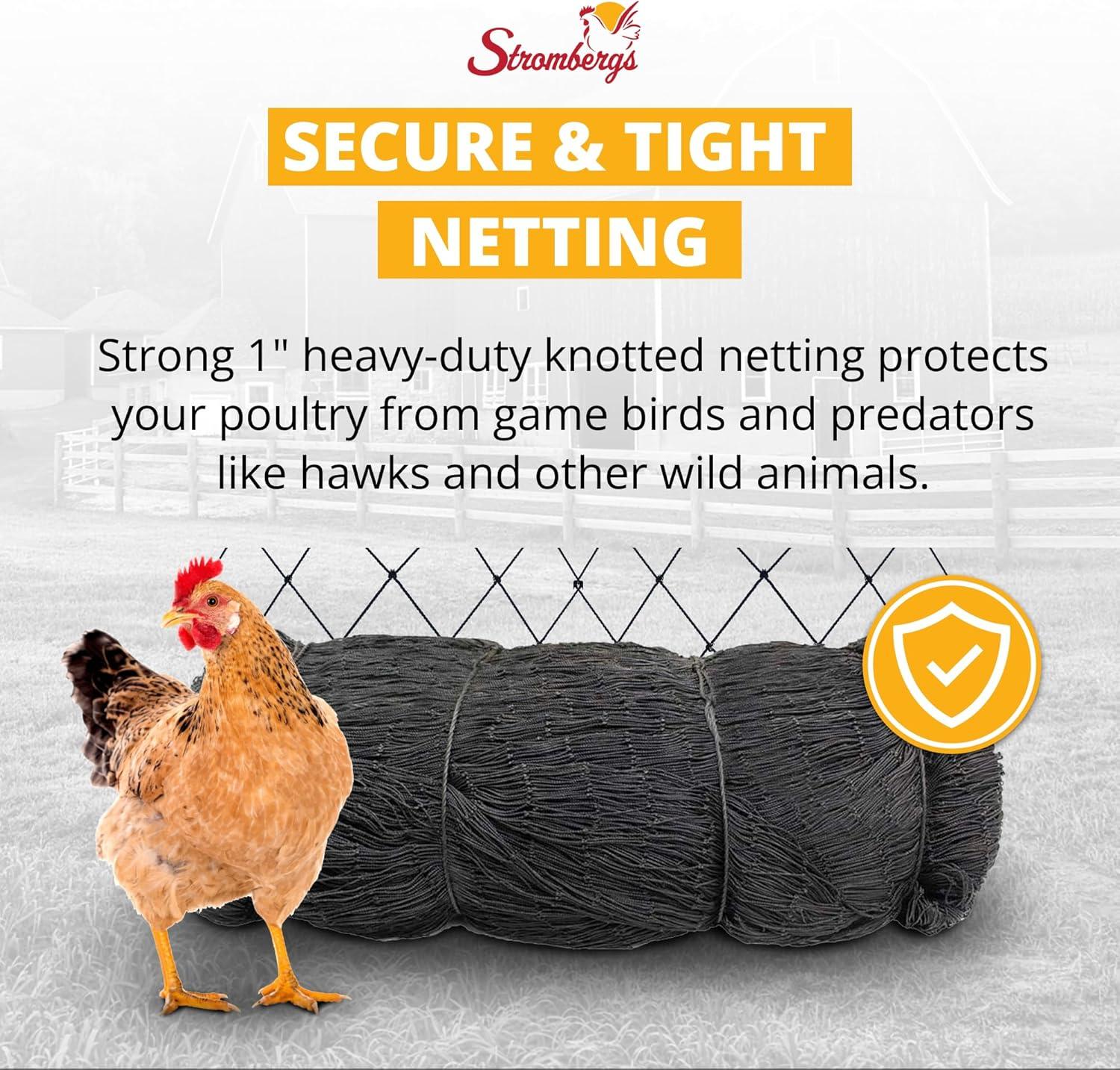 Stromberg's 1" Knotted Netting, Game Bird Netting for Pheasants & Quails, Heavy Duty, Chicken Coops, Gardening, UV-Resistant, 85 lb. Break Strength, 25'x25'