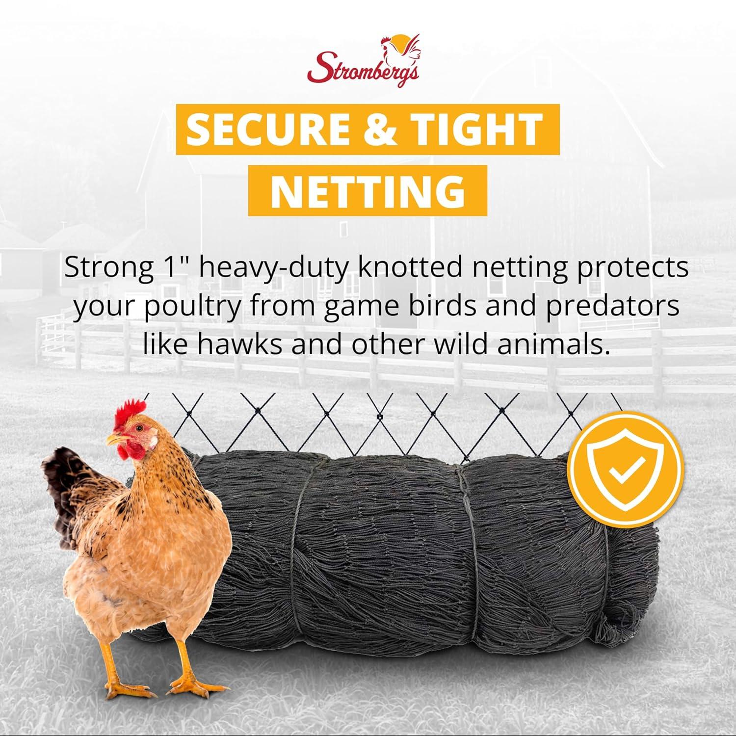Stromberg's 1" Knotted Netting, Game Bird Netting for Pheasants & Quails, Heavy Duty, Chicken Coops, Gardening, UV-Resistant, 85 lb. Break Strength, 25'x25'