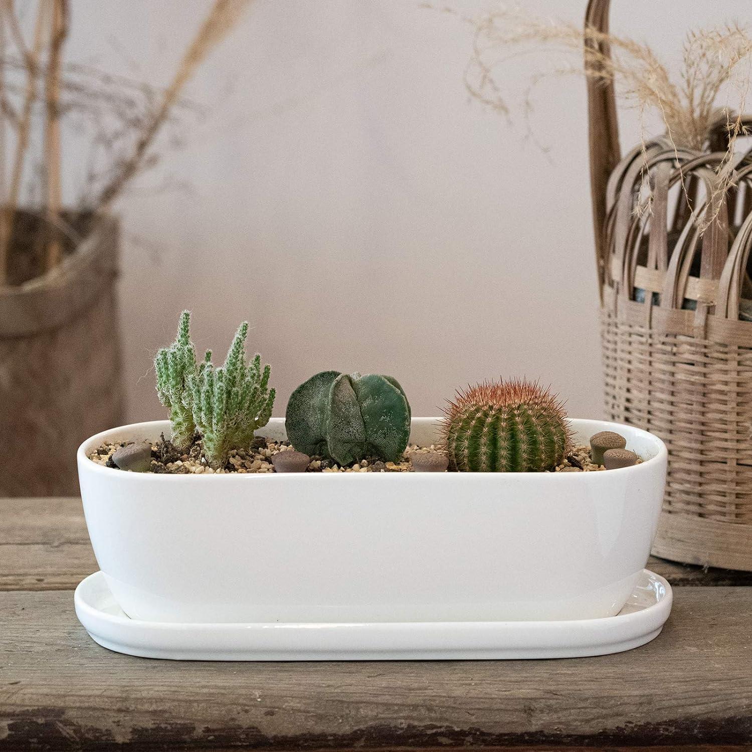 White Oval Ceramic Planter with Drainage Hole and Tray