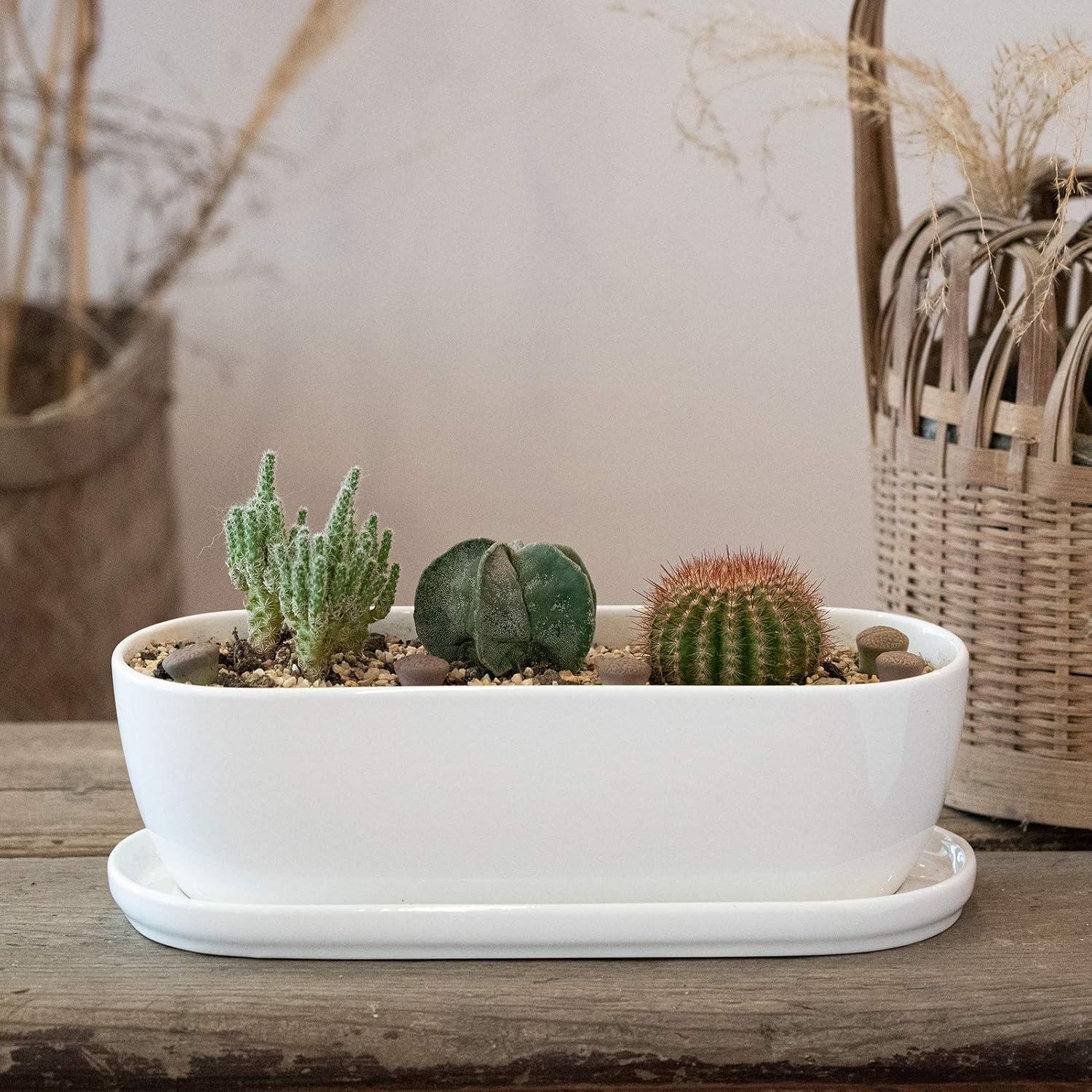 E-liu Oval Ceramic Planter Pot with Drainage Hole Saucers 11 Inch Succulents Planter Home Decor for Indoor Outdoor Plants Herb Cactus with 3 Mesh Pads, Plants Not Included
