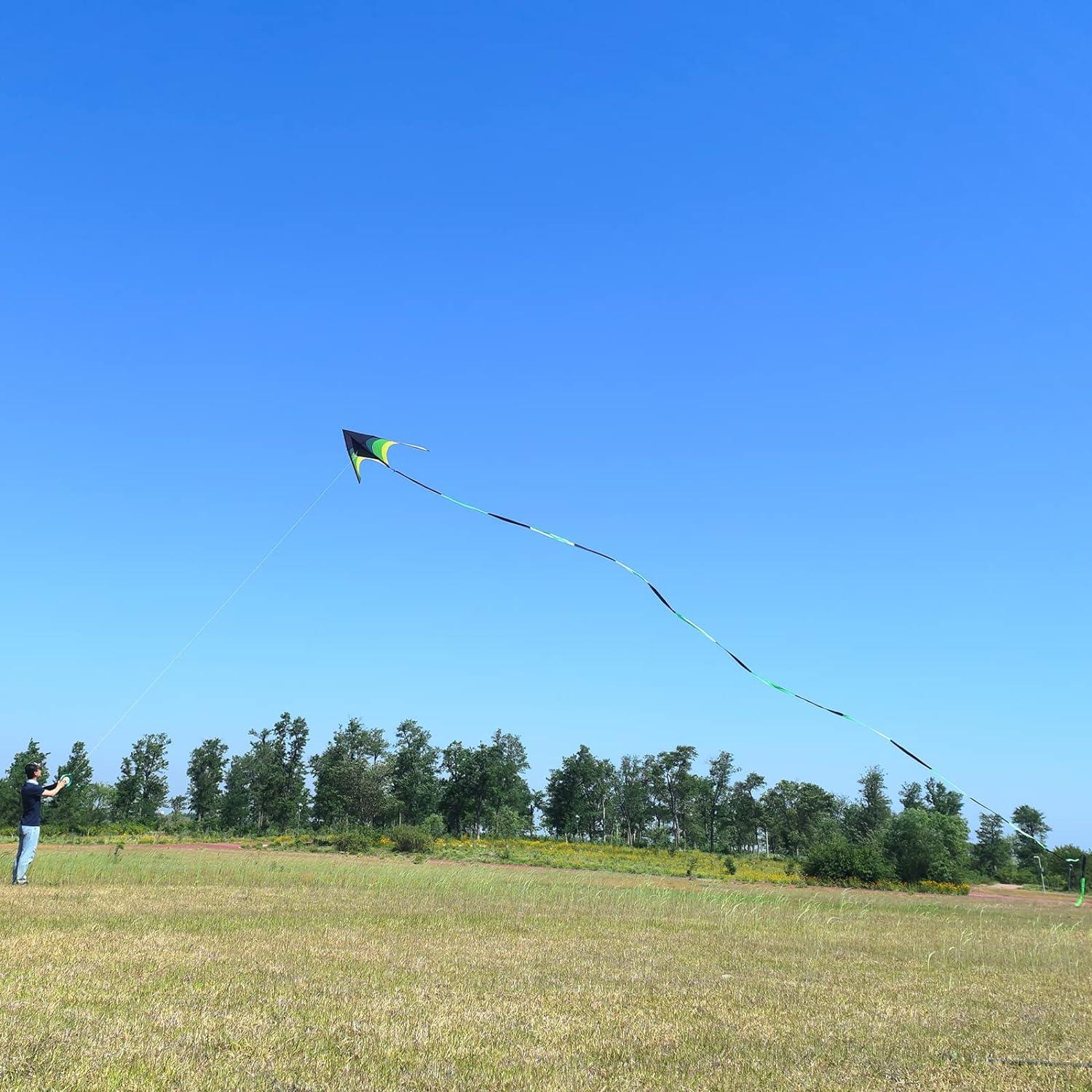 Gaint Kite for Adults Easy to Fly, 9ft Huge Delta Kite Come with 98ft Tail