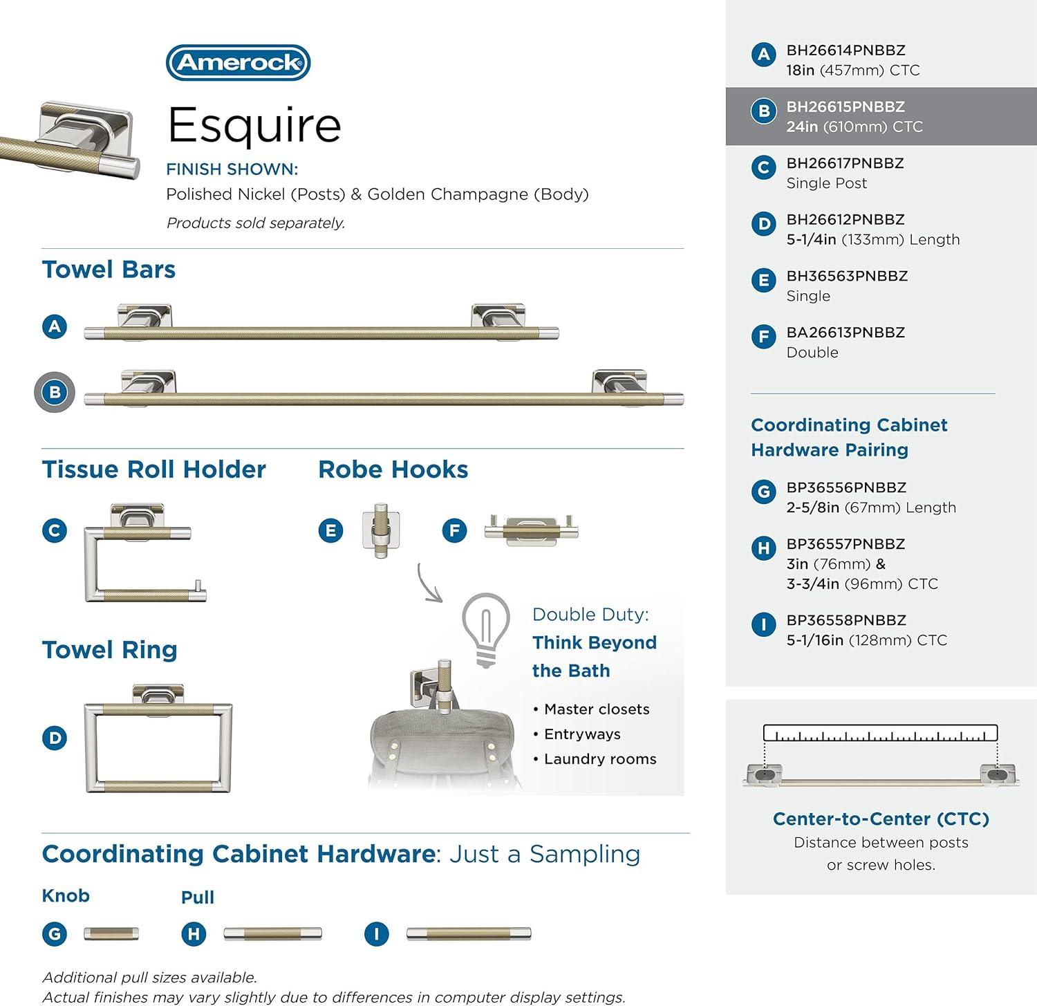 Amerock Esquire Wall Mounted Towel Bar