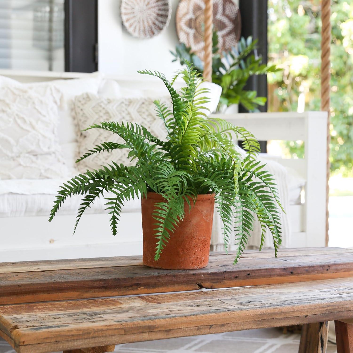 Yancey 12'' Faux Fern Plant in Terracotta Planter