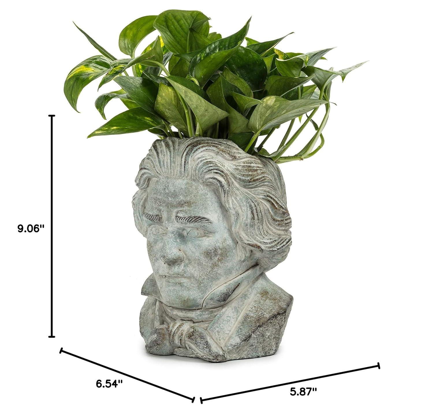 Small Gray Concrete Beethoven Head Planter