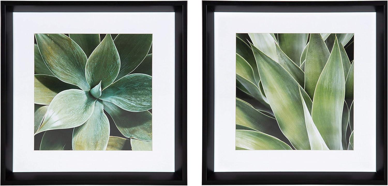 Green Succulent Leaves Framed Canvas Print Set