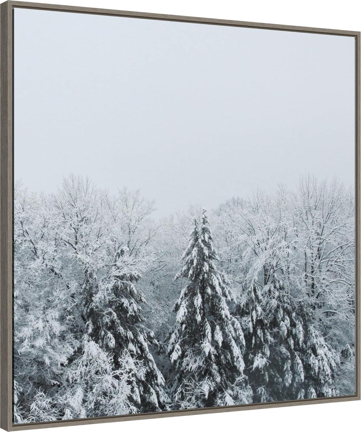 Amanti Art Snowshoe Hill Deep Crop by Sue Schlabach Framed Canvas Wall Art