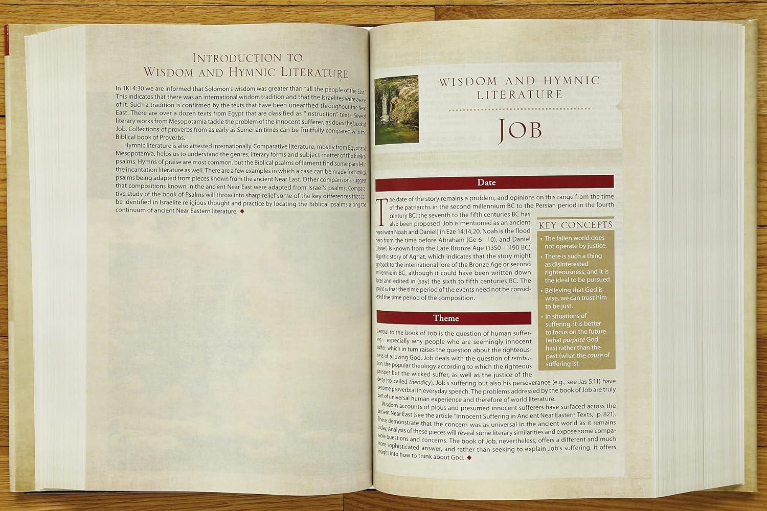 Cultural Backgrounds Study Bible-NIV - by Zondervan (Hardcover)