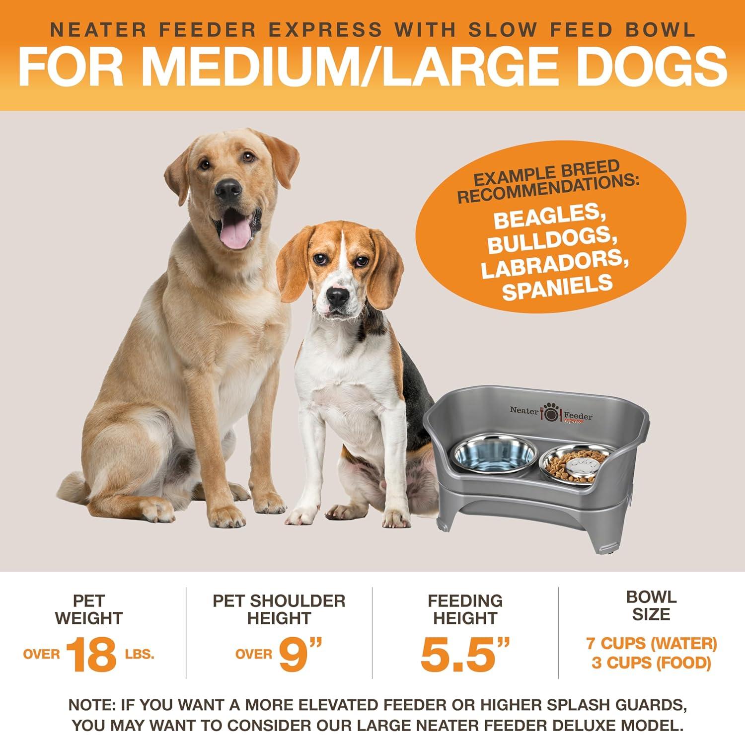 Slow Feed Bowl - Mess-Proof Dog Bowls Made In USA – Elevated, No Spill, Non-Tip, Non-Slip, Raised Stainless Steel Food/Water Pet Bowls Aid Digestion