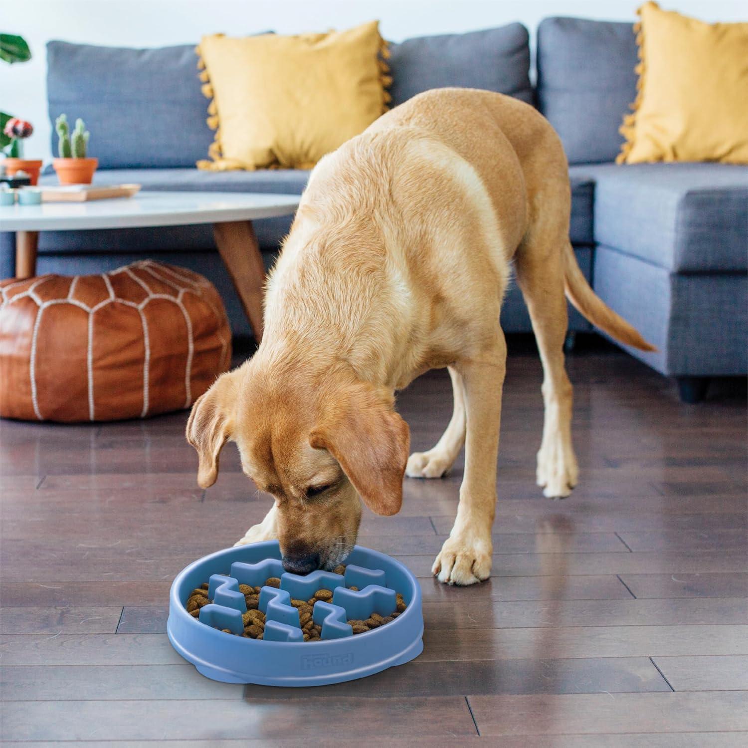 Outward Hound Outward Hound Fun Feeder Slow Bowl, Slow Feeder Dog Bowl, Blue