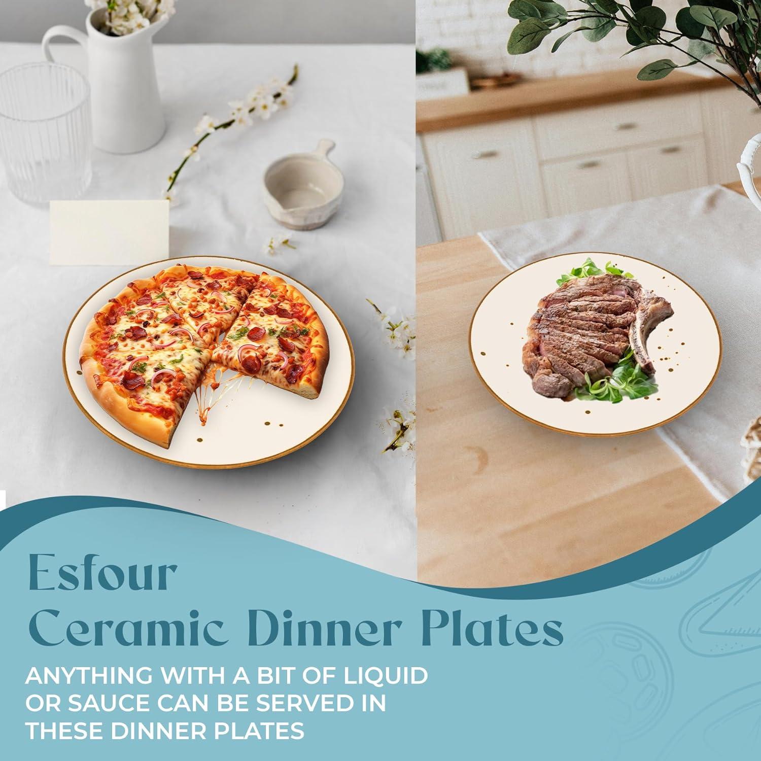 Glossy White and Brown Porcelain Dinner Plates Set of 6