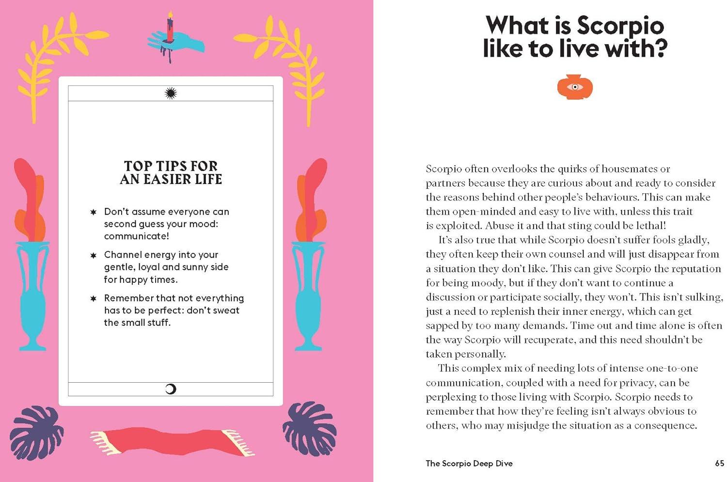 Scorpio - (Hg Seeing Stars) by  Stella Andromeda (Hardcover)