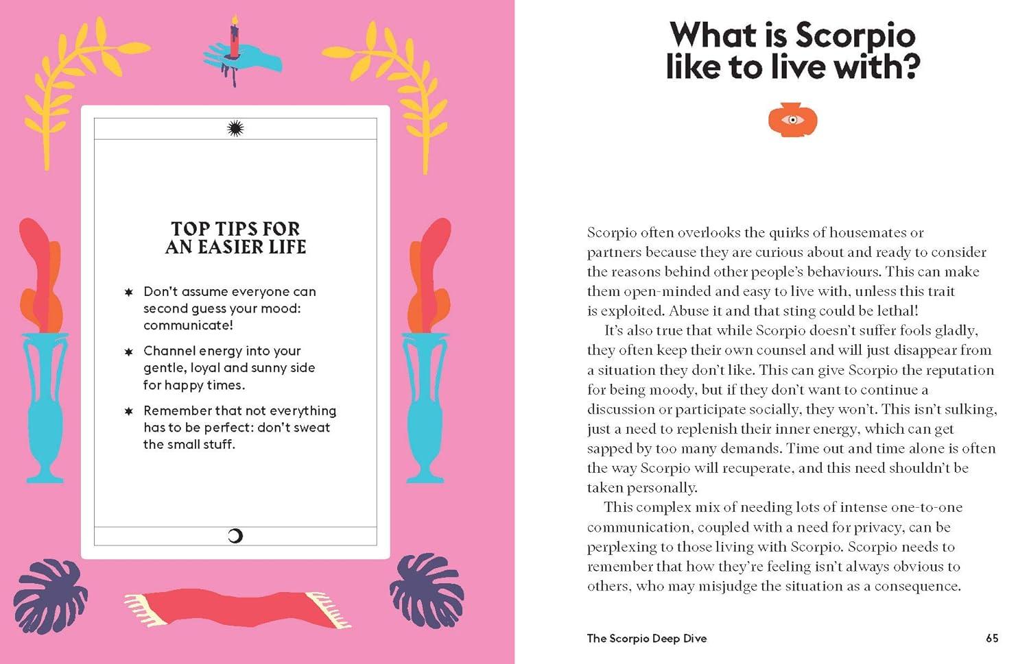 Scorpio - (Hg Seeing Stars) by  Stella Andromeda (Hardcover)