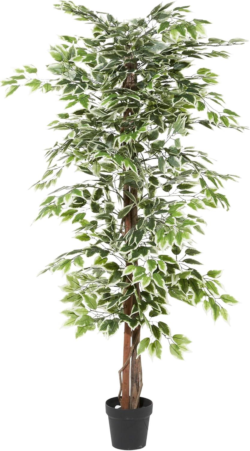 Empire Green 73" Artificial Ficus Floor Plant in Black Plastic Pot